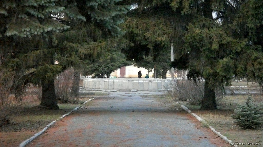 Еловая аллея в парке Куйбышева. Поздняя осень.
