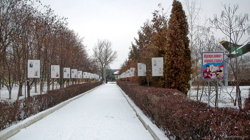 Аллея Детей в парке Куйбышева.