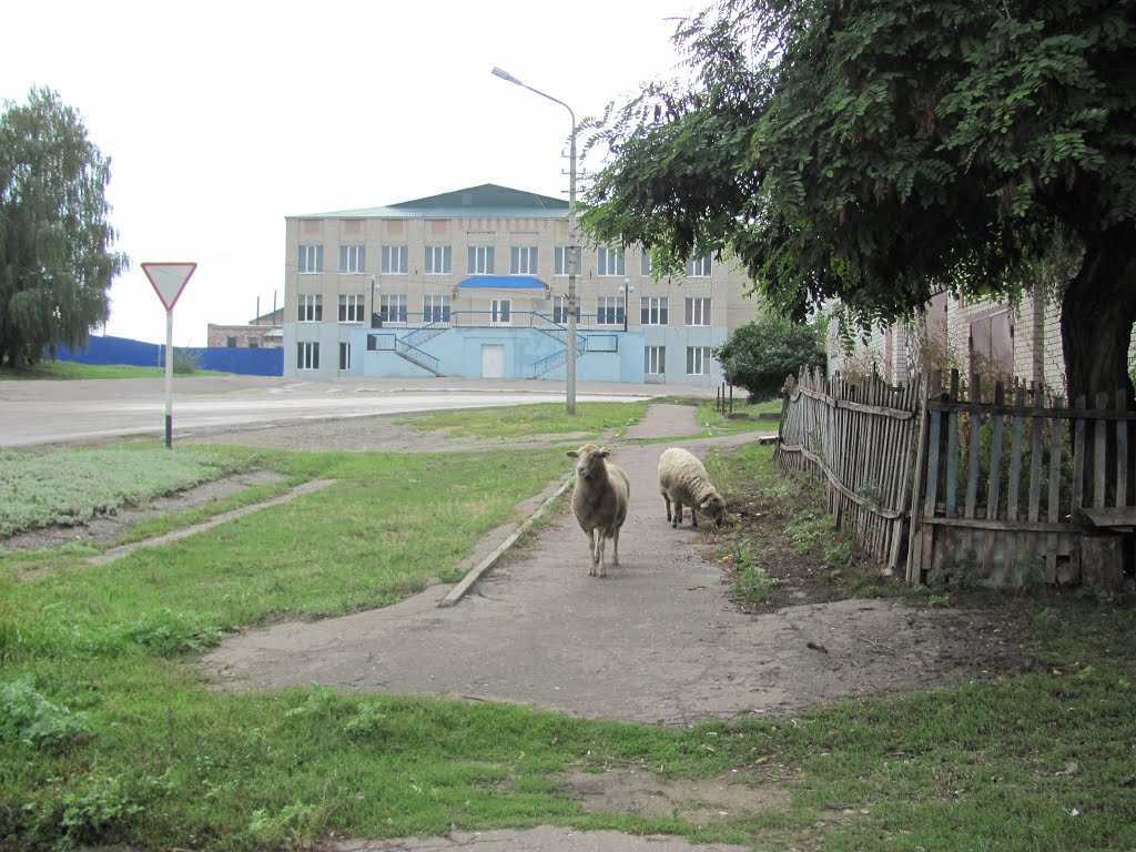 Дом Культуры. Балтай