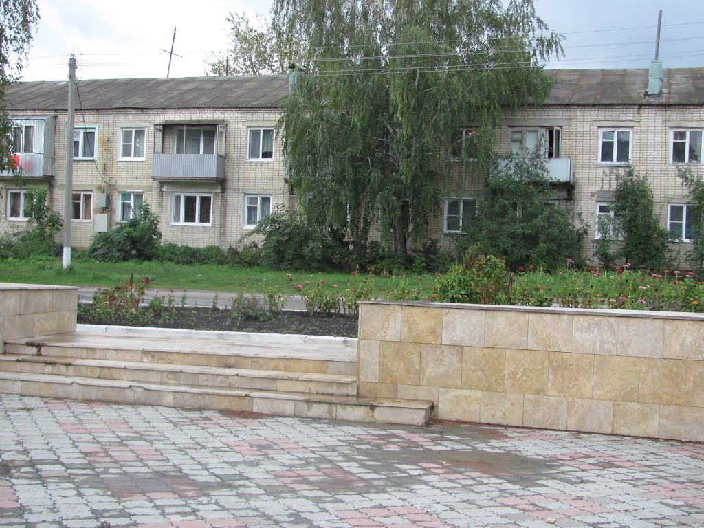 Жилой дом в Балтае