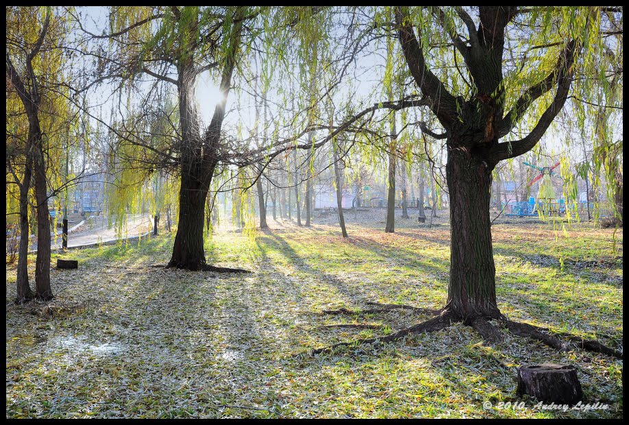 Volsky city park