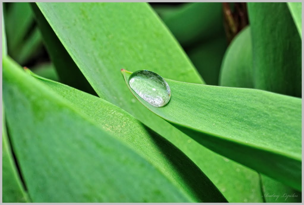 After the rain