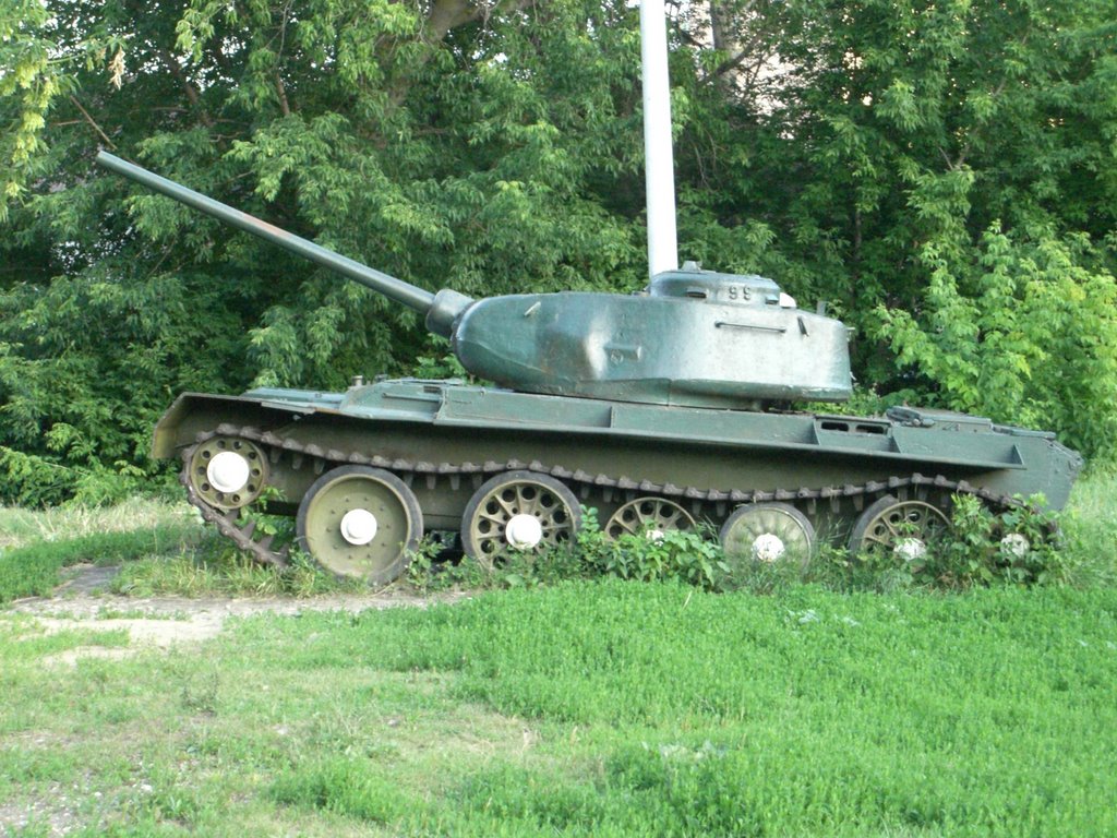 The Musiem of Warlike Equipment: "Tank (lateral view)"