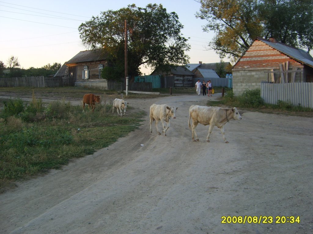 Selo