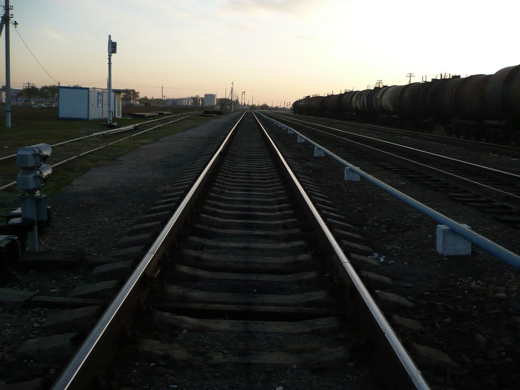 РЖД