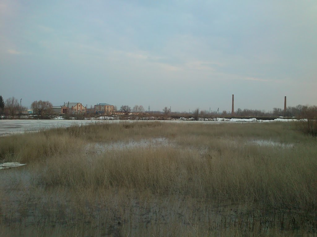 Дергачи