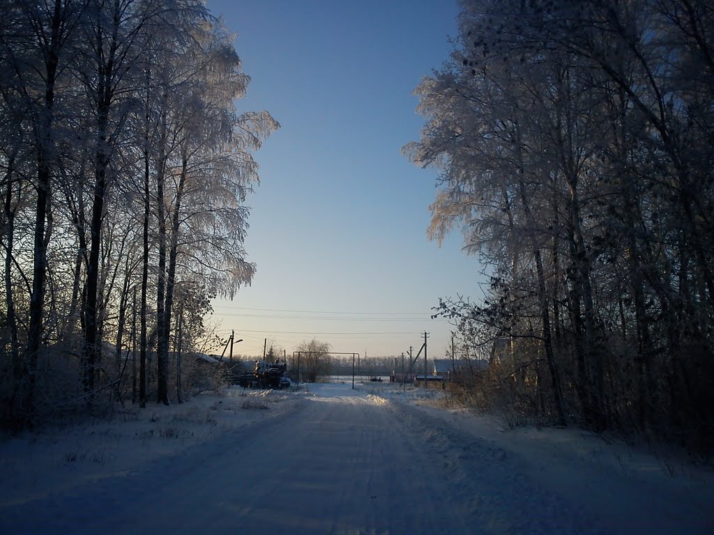 Просека