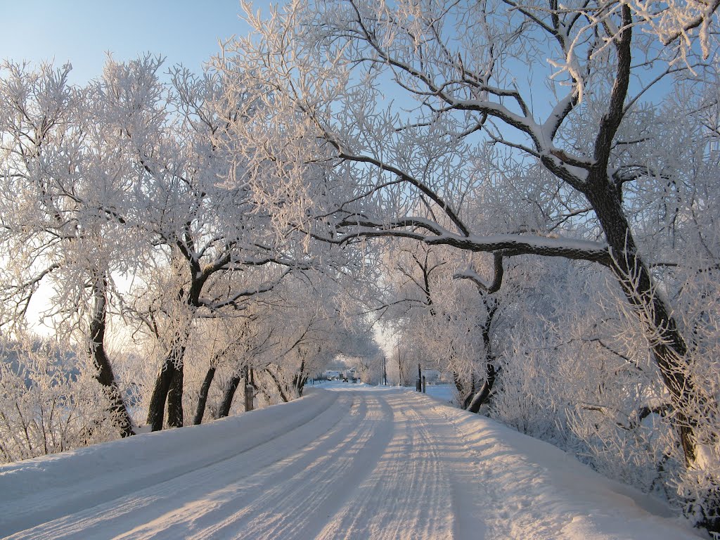 Морозный день