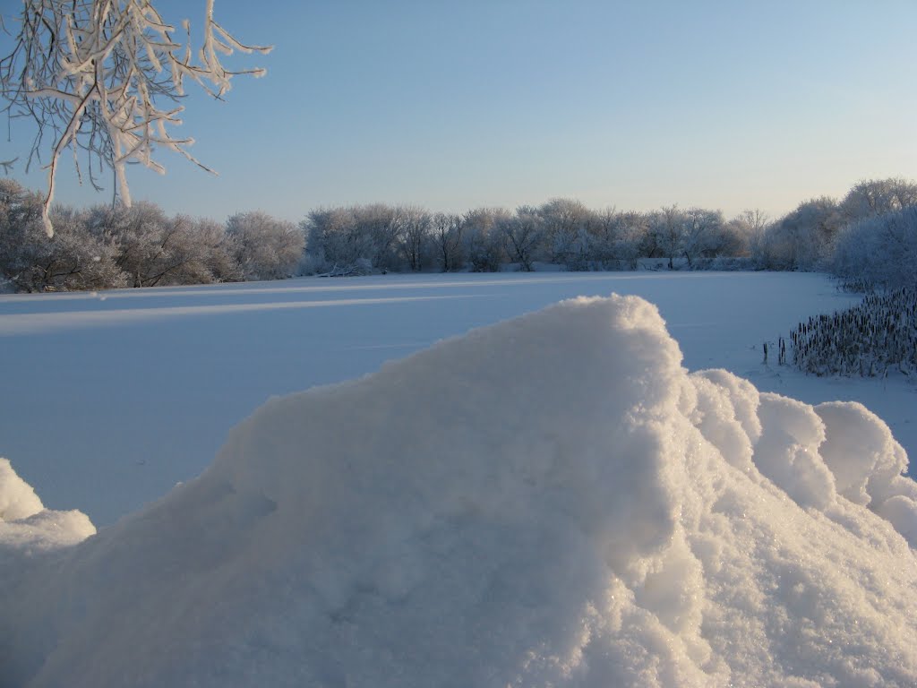Бархан