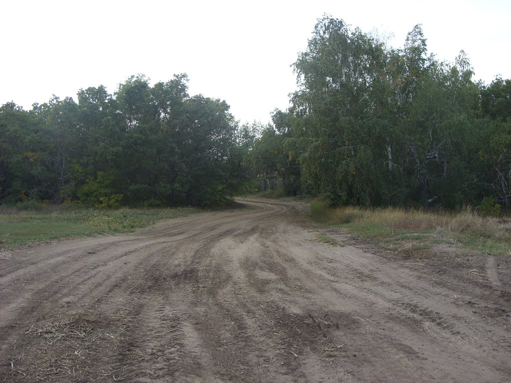 роща