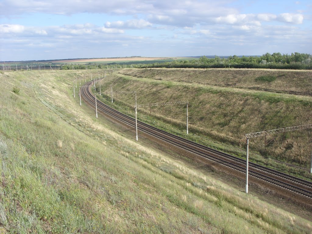 Участок приволжской железной дороги, в сторону Волгограда.