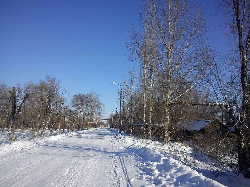 Ноябрьский снег.