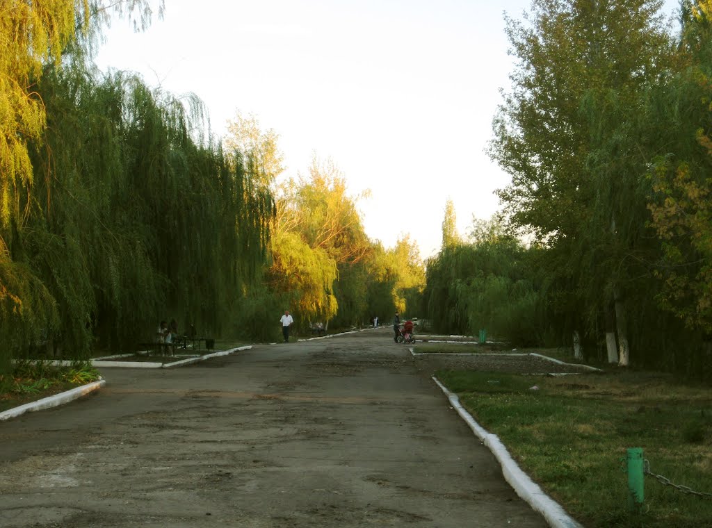 Проспект