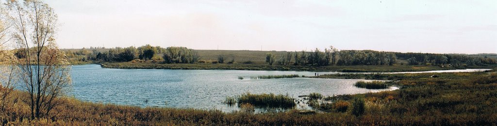 пос.Лысые горы 2008_10