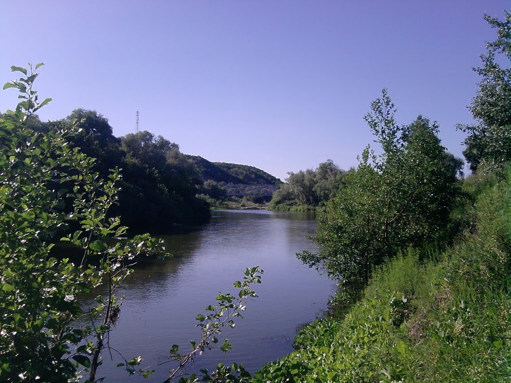 река Медведица, Лысые Горы
