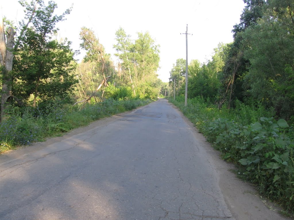 Дорога к лагерю Политеха