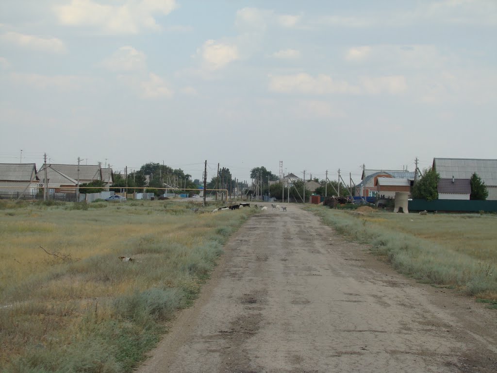 Береговой