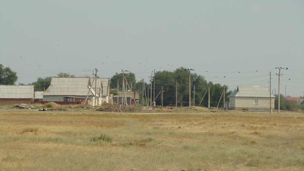 ул.Фрунзе М.В.