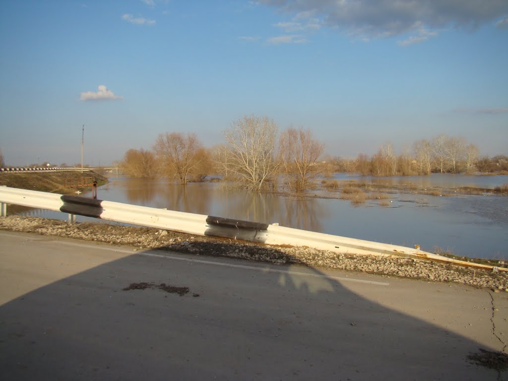 Разлив 2011