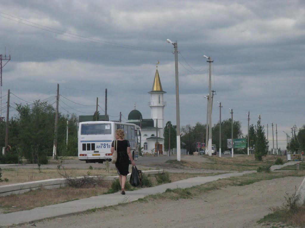 Озинки