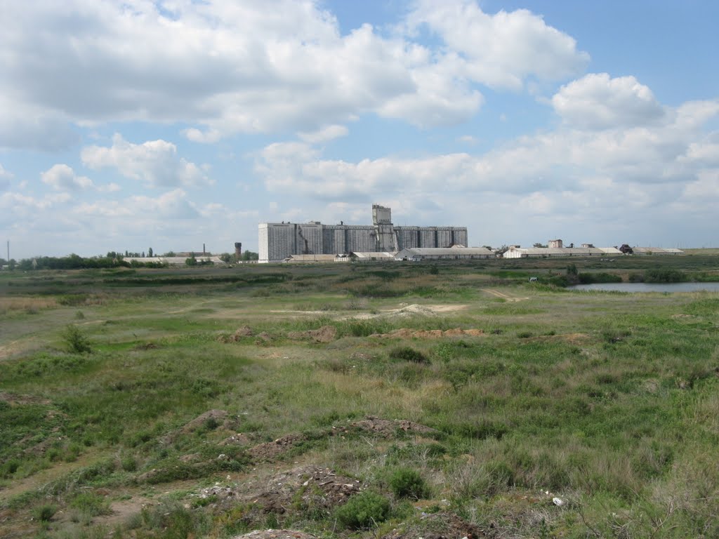 Элеватор