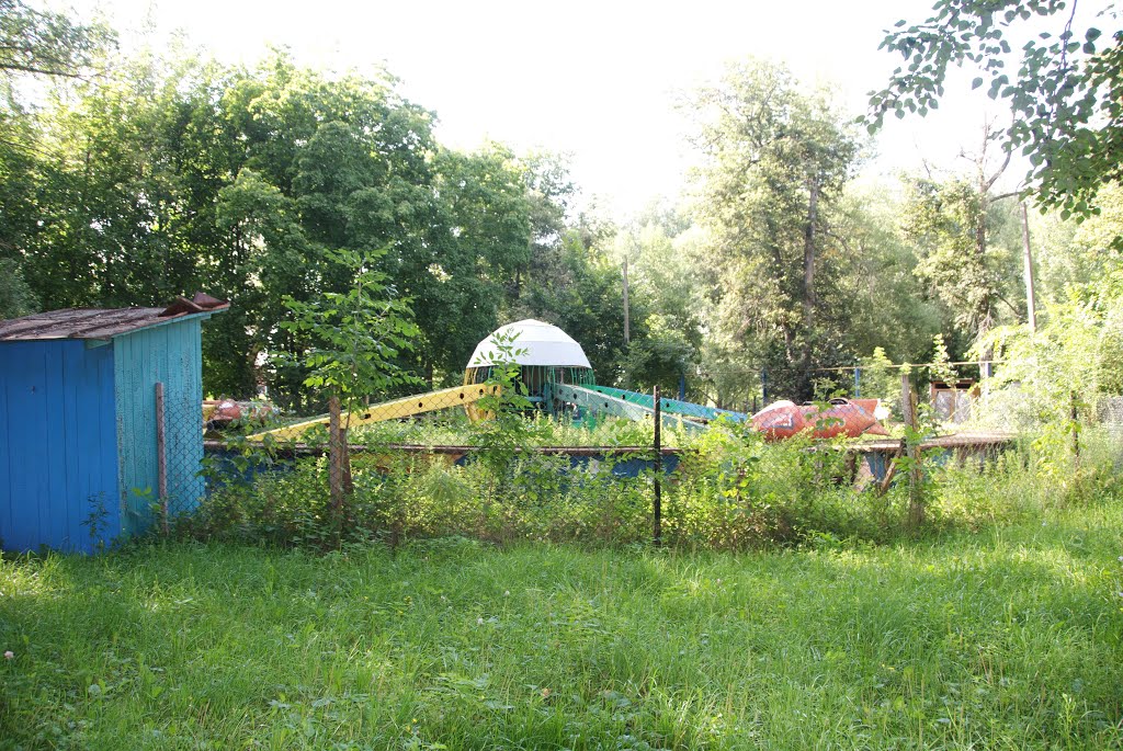 Petrovsk. August 2013