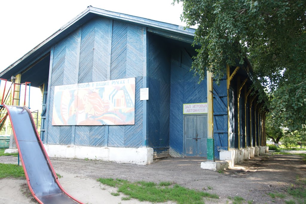 Petrovsk. August 2013