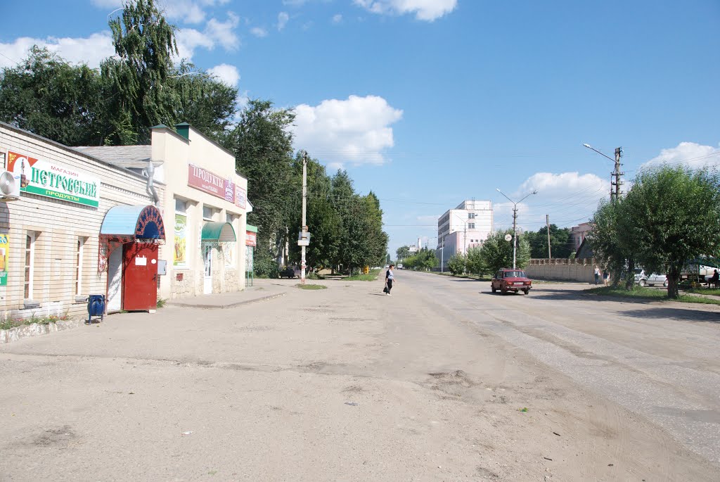 Petrovsk. August 2013