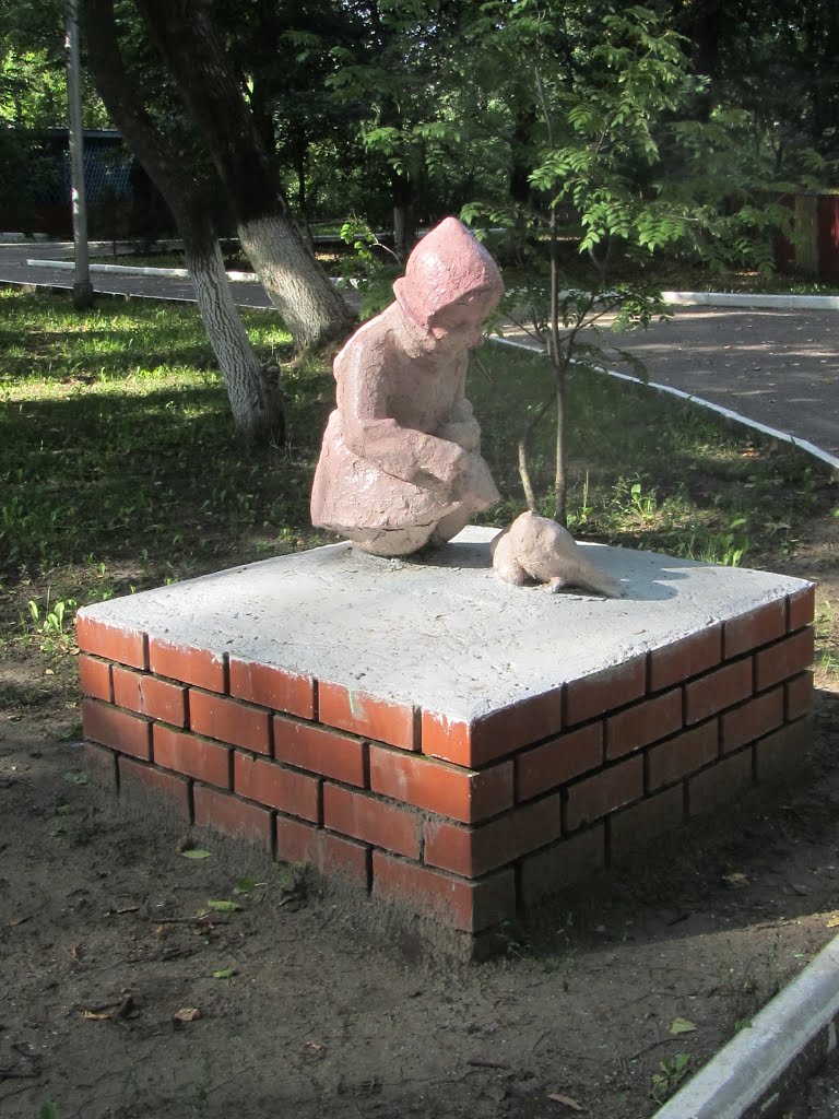 Petrovsk. August 2013