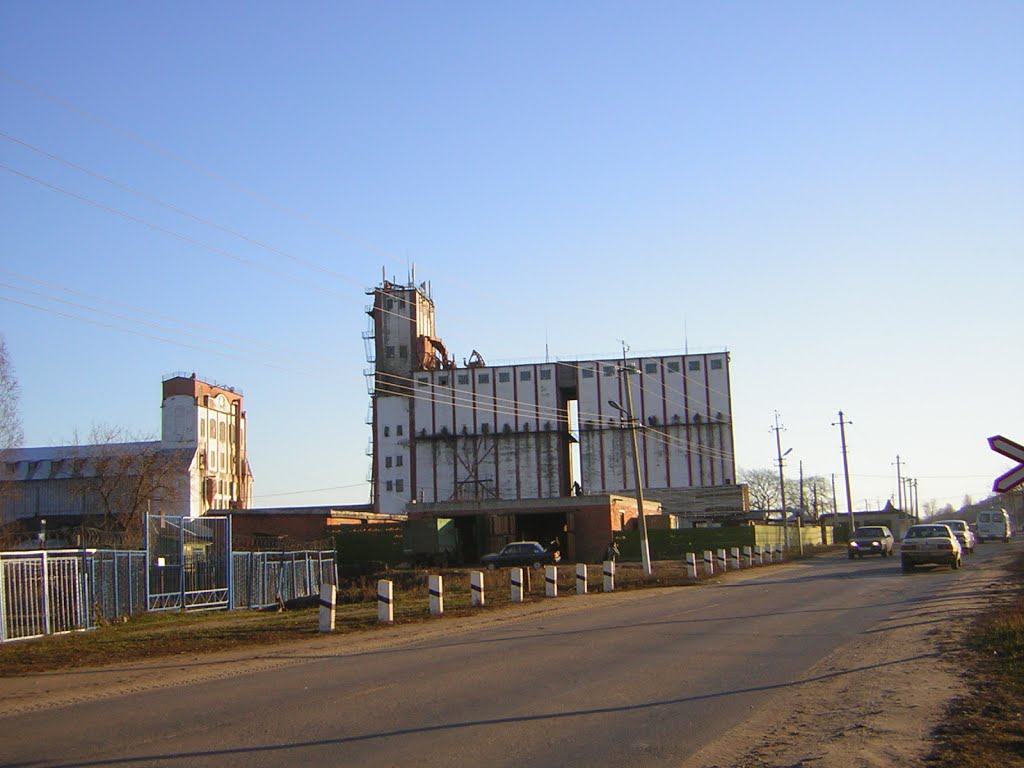 Петровск. Элеватор
