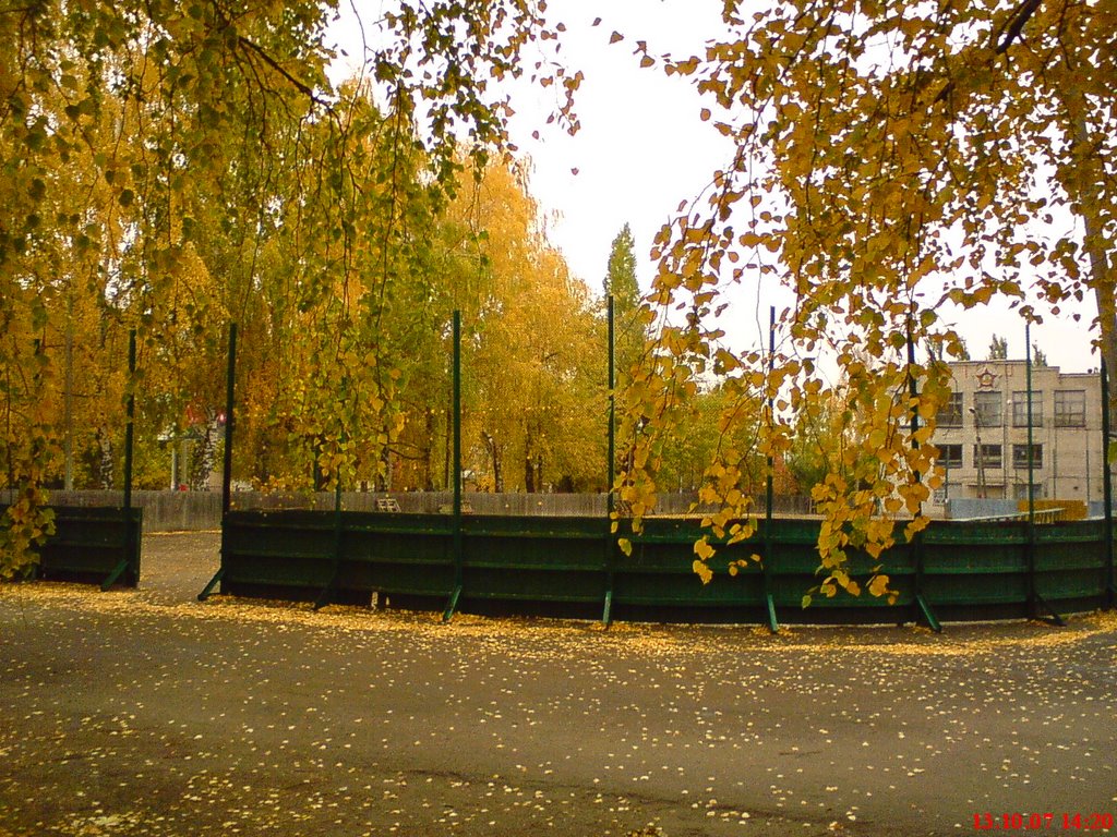 Каток. Дом физкультуры.