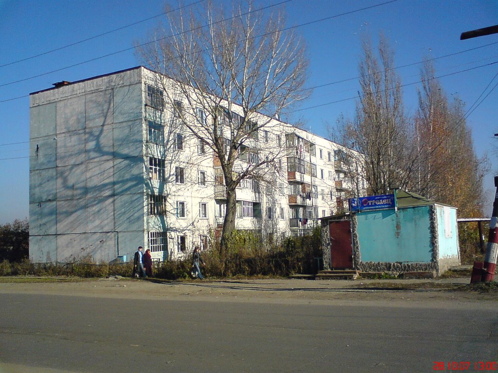 улица Братьев Костериных 131