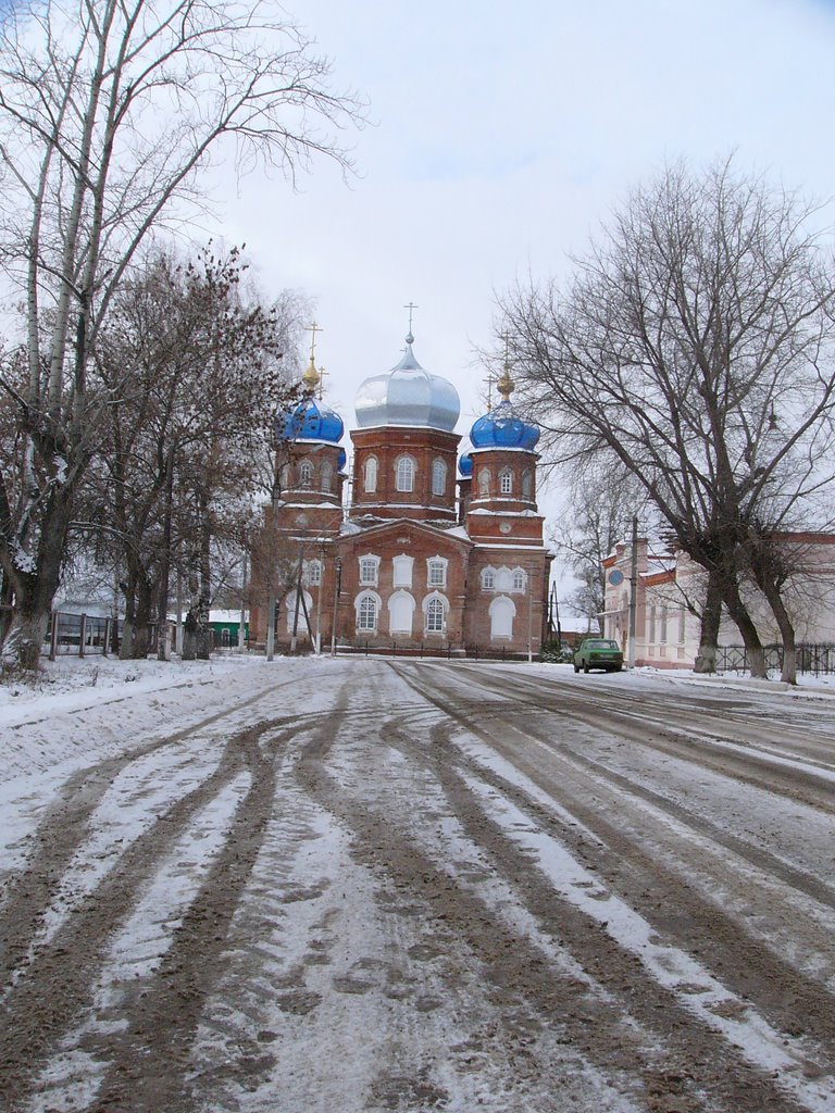 Покровский собор . Петровск.