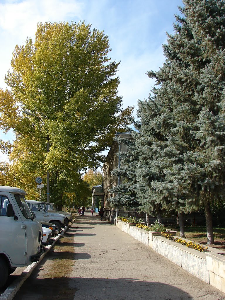ул Тапарковская