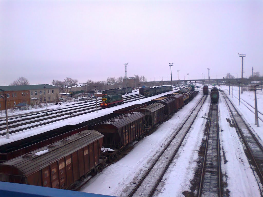 "Утреннее построение" на ст. Пугачевск, 2011 г.