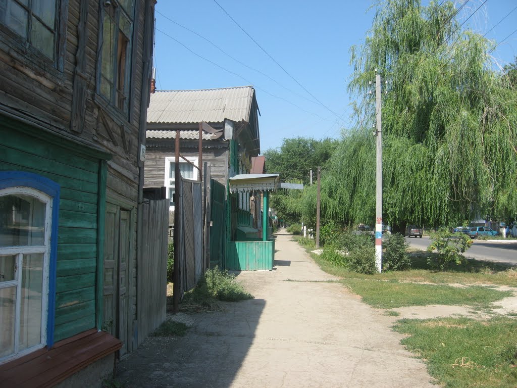 рев проспект