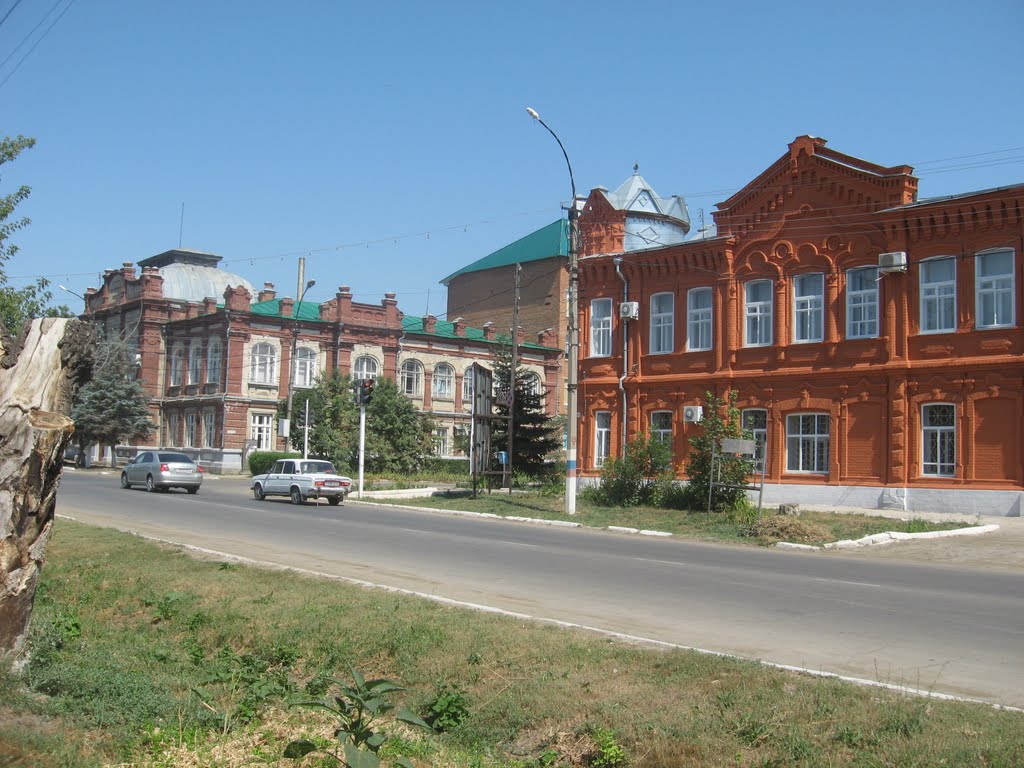 рев проспект