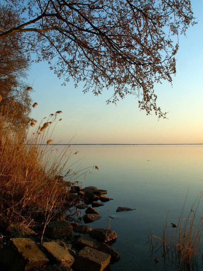 Rovnoye