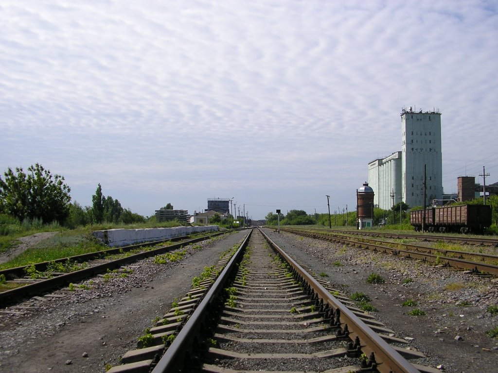линия
