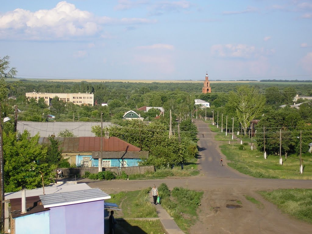 панорама Романовки