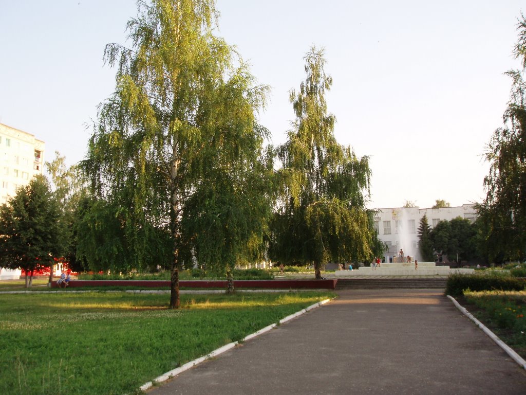Аллея берёзок