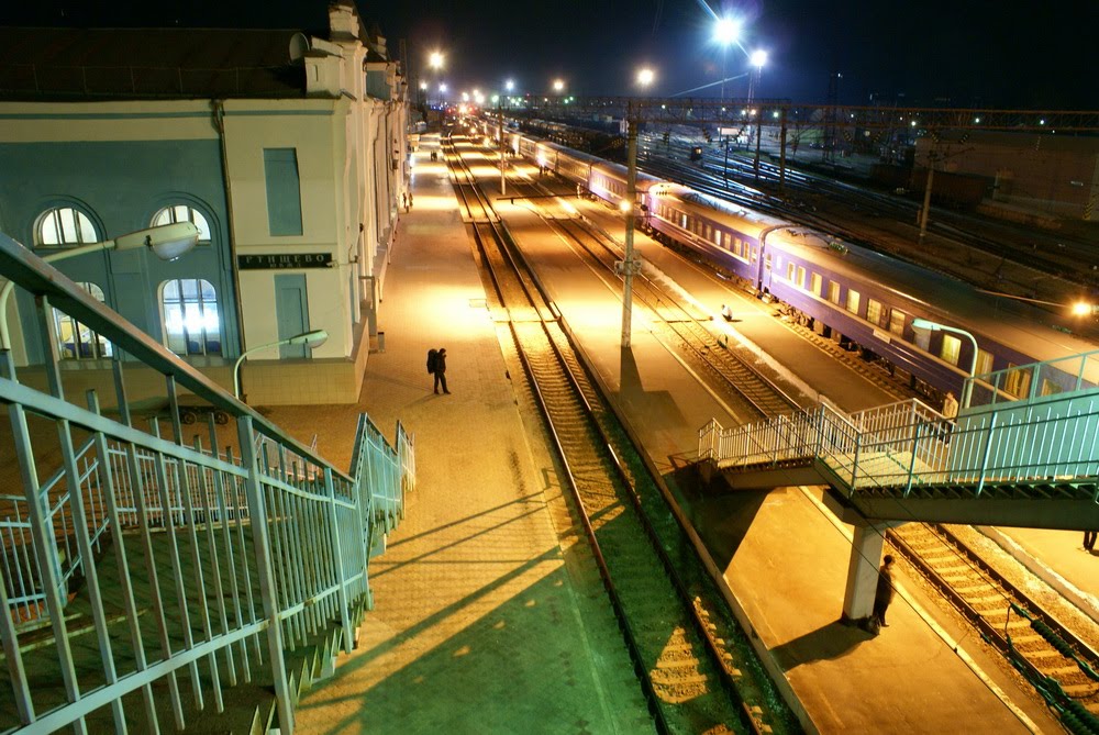 Rtischevo railway station at night