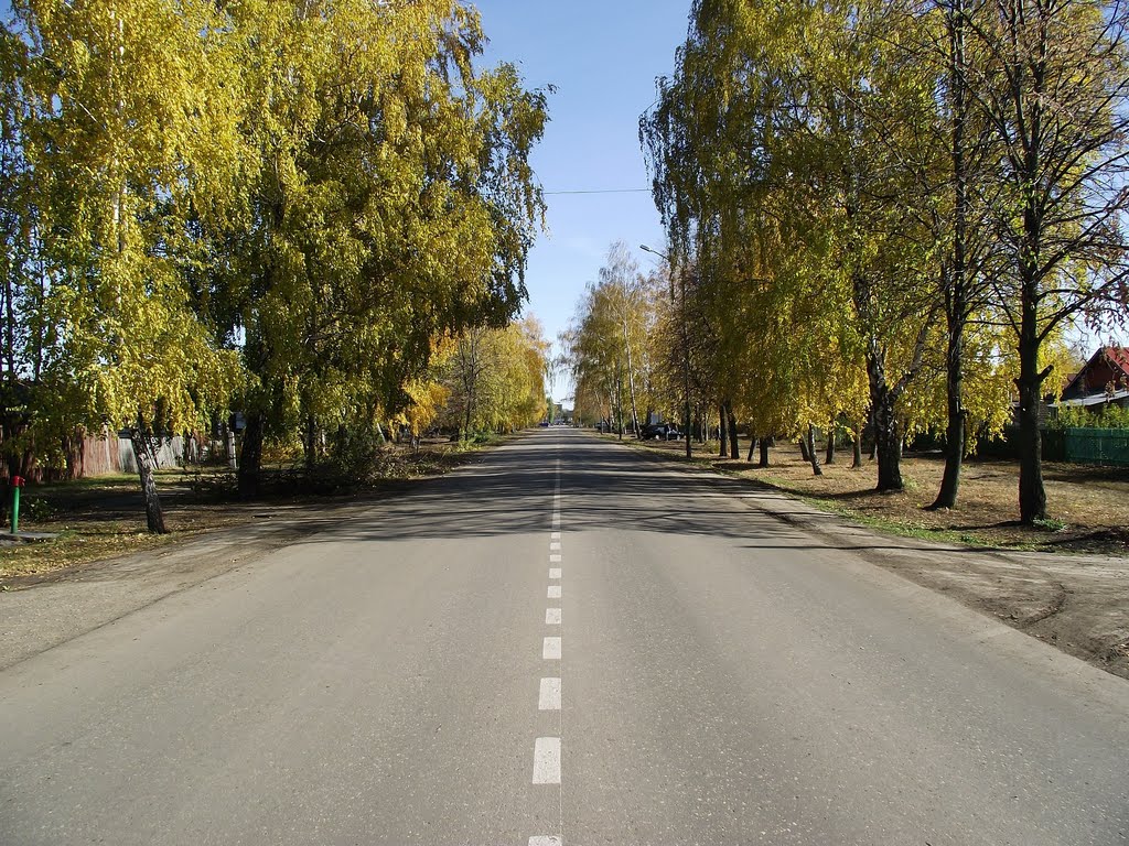 Улица осенью