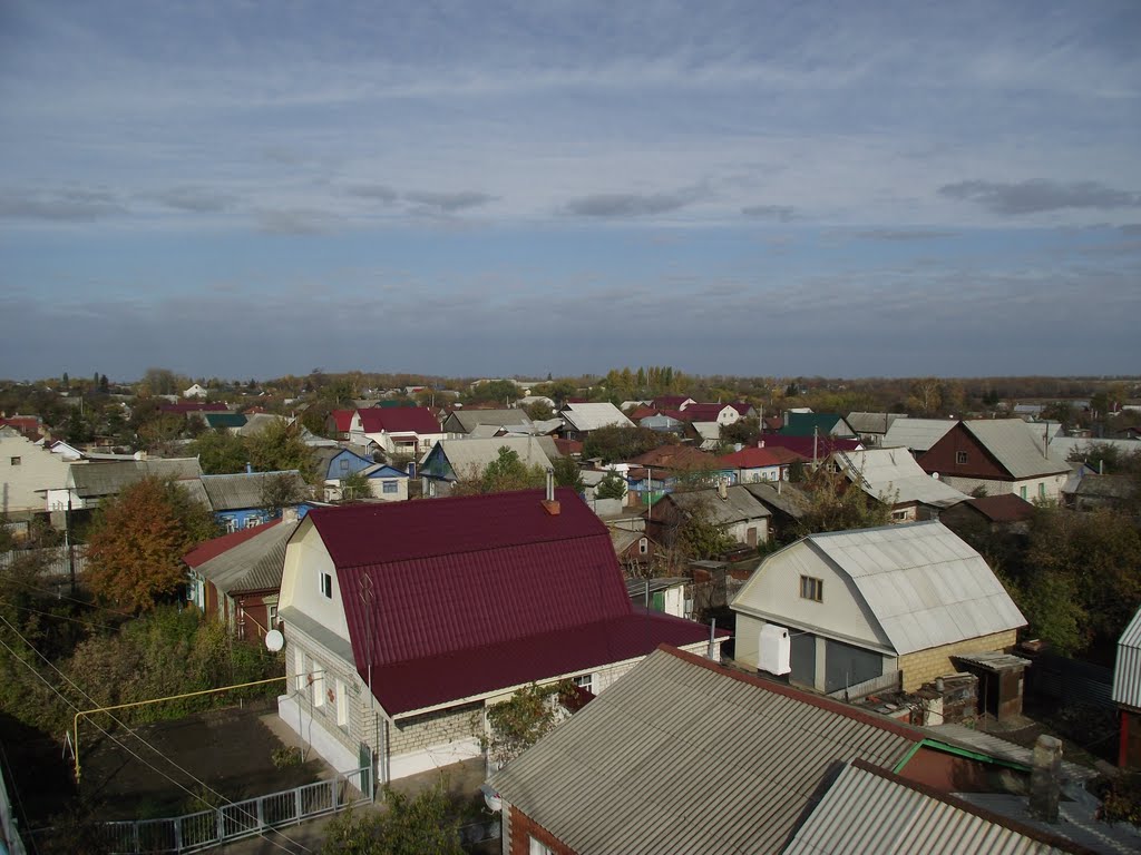 Вид с моста