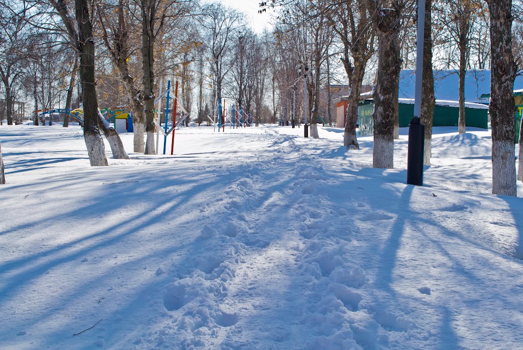 Парк зимой