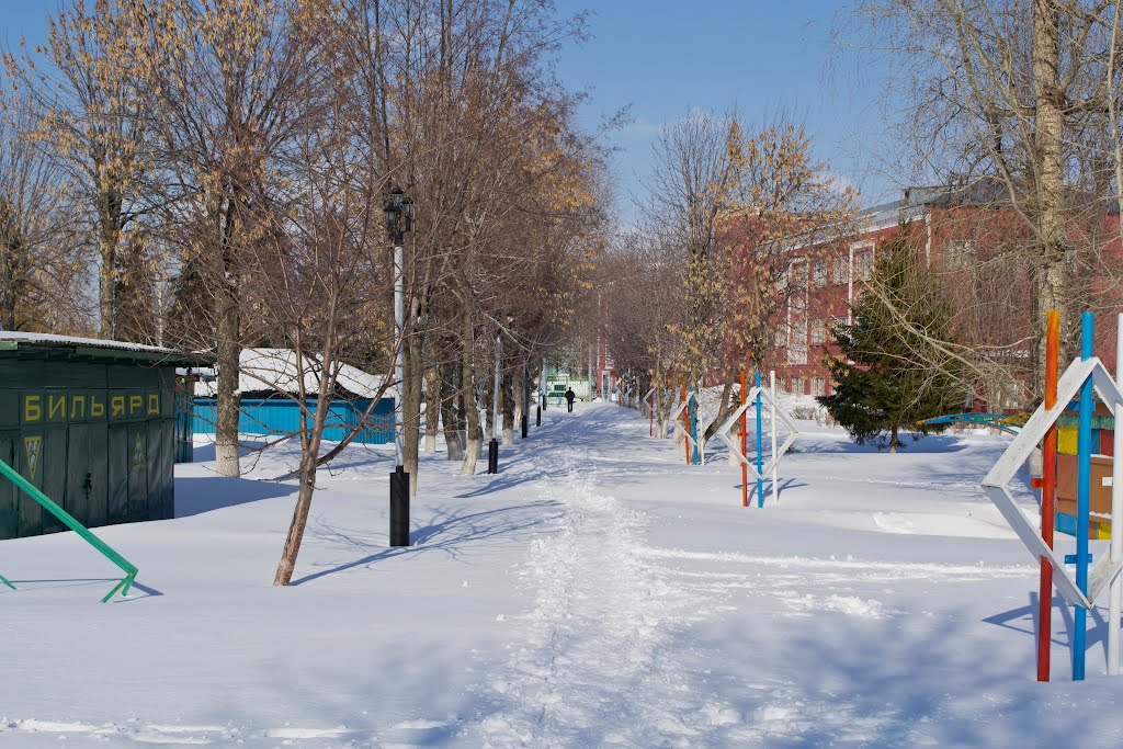 Парк зимой