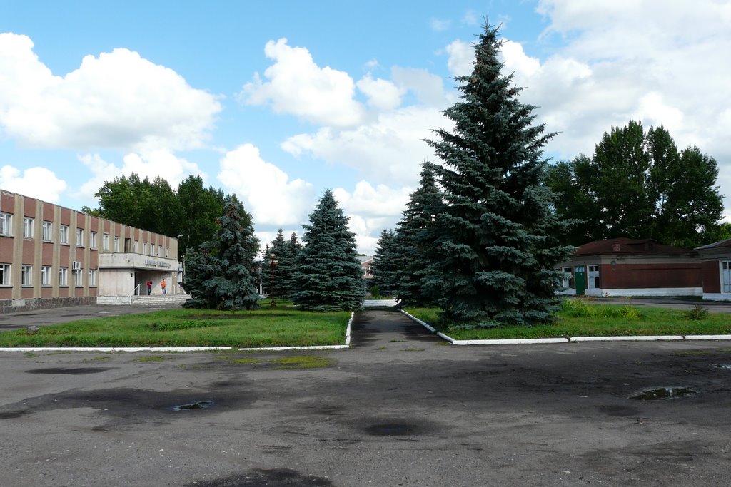 Самойловка Центр