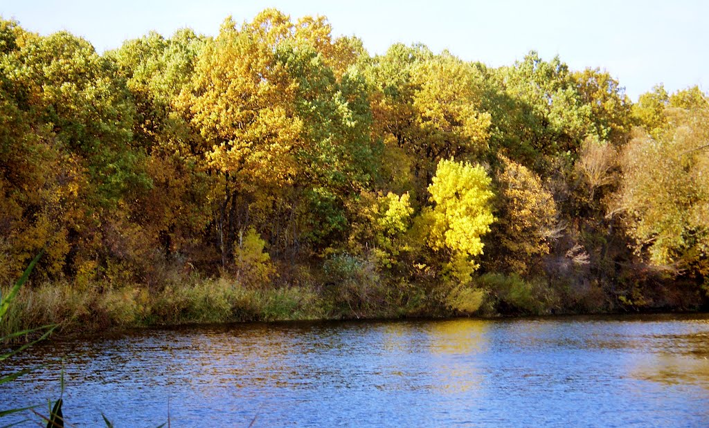 Краски осеннего леса / Colours of the autumn forest