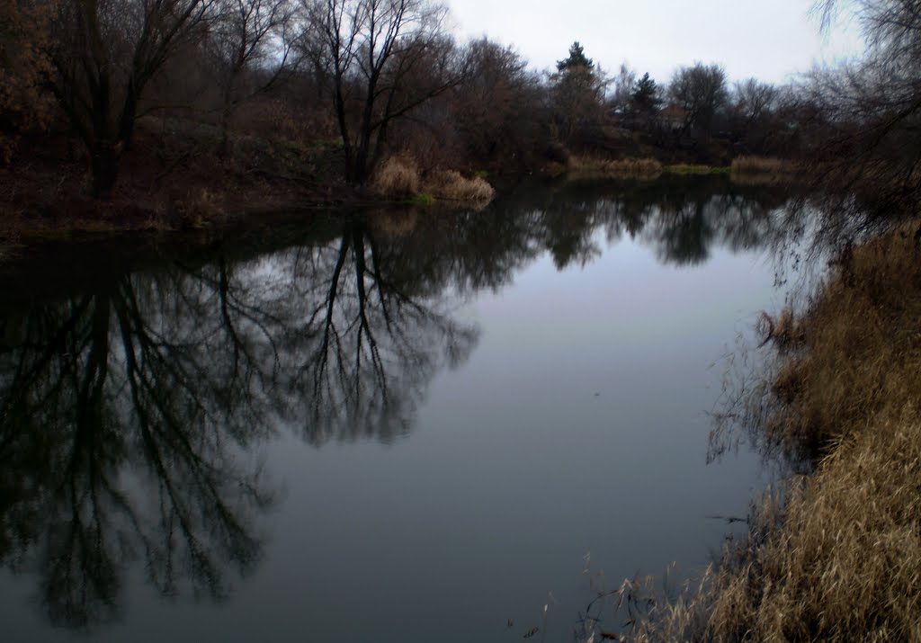 Терса поздней осенью / The Tersa river at the late autumn