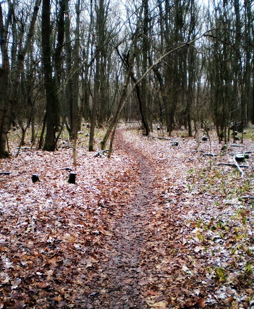 Первый снег / The first snow